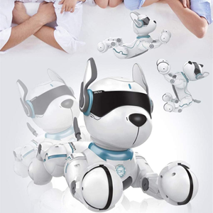 ربات اسباب بازی سگ کنترلی مدل Remote Control Robot LEIDY DOG Toy A001_اسباب بازی
